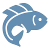 ic fish